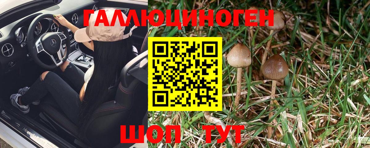 Псилоцибиновые грибы Psilocybe  Псилоцибиновые грибы Magic Shrooms  Отрадный  закладка  Вход с VPN 